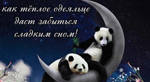 Пожелания спокойной ночи девушке в стихах