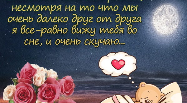 SMS сообщение спокойной ночи девушке